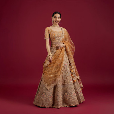 Mustard Yellow Radiance Lehenga